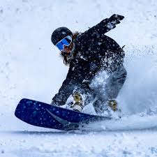 Snowboards