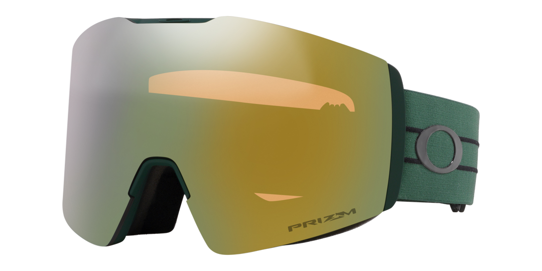Fall Line L Goggles