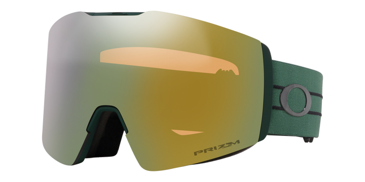 Fall Line L Goggles