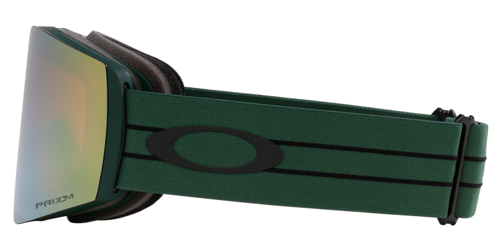 Fall Line L Goggles